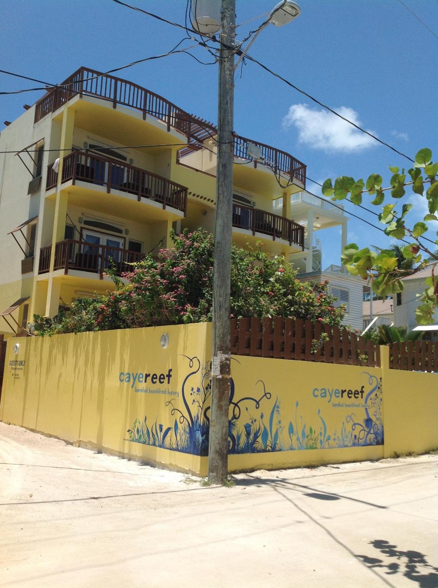 Caye Reef Condos Caye Caulker Bilik gambar