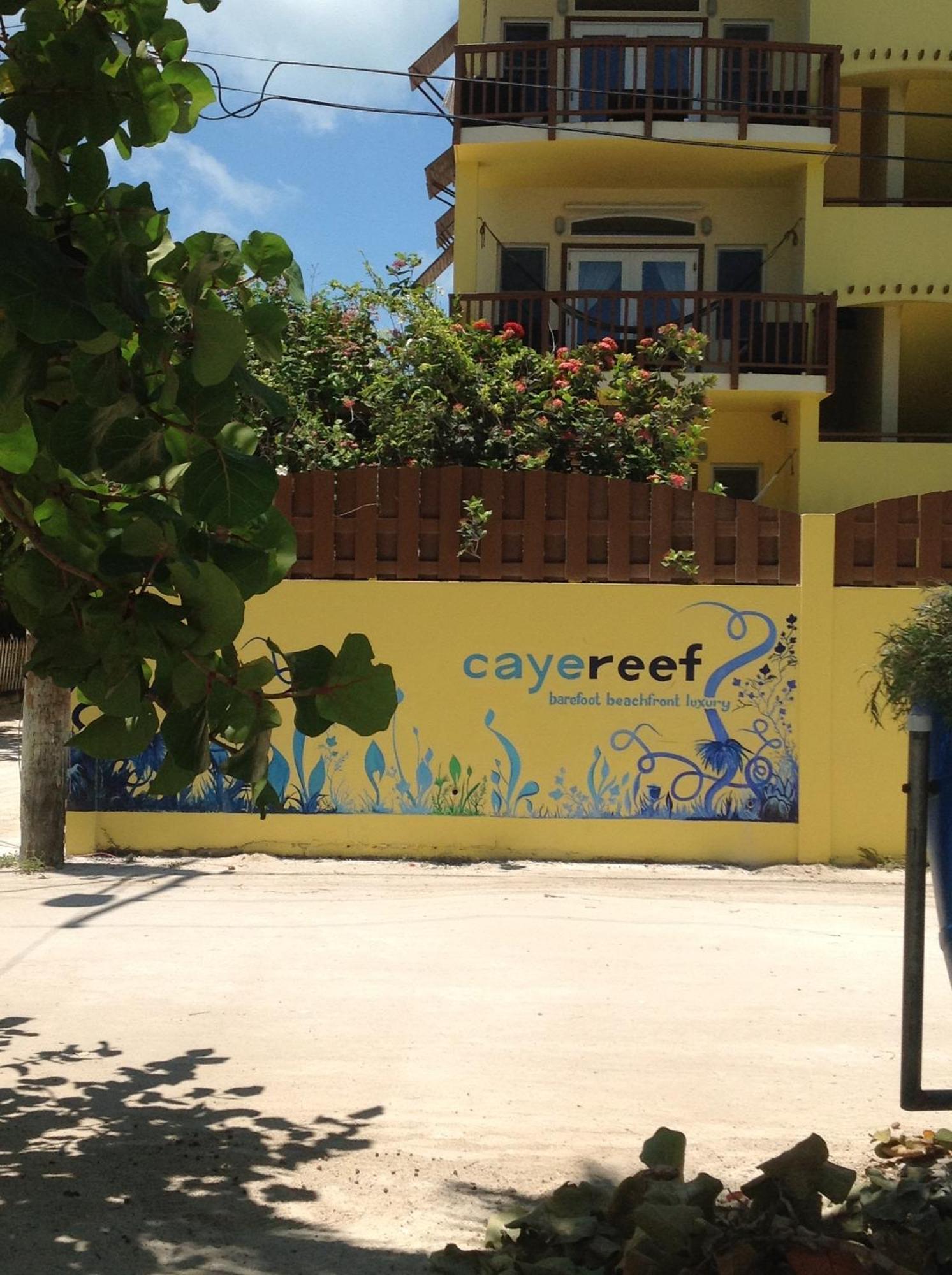 Caye Reef Condos Caye Caulker Bilik gambar