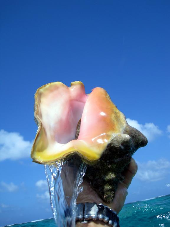 Caye Reef Condos Caye Caulker Luaran gambar